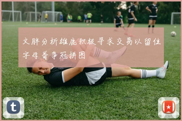 文胖分析雄鹿积极寻求交易以留住字母哥争冠拼图