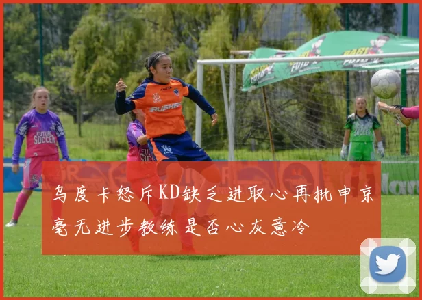 乌度卡怒斥KD缺乏进取心再批申京毫无进步教练是否心灰意冷